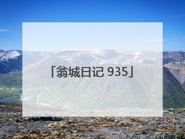 翁城日记 935