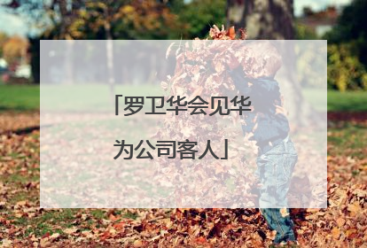 罗卫华会见华为公司客人