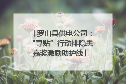 罗山县供电公司：“寻贴”行动排隐患 嘉奖激励助护线