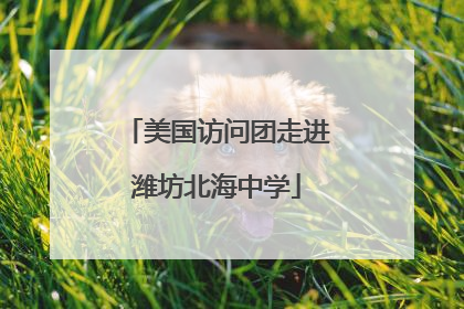 美国访问团走进潍坊北海中学