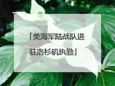 美海军陆战队进驻洛杉矶执勤