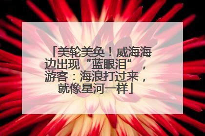美轮美奂！威海海边出现“蓝眼泪”，游客：海浪打过来，就像星河一样
