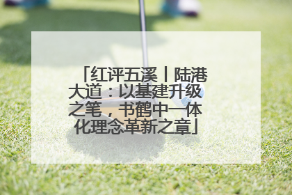 红评五溪丨陆港大道：以基建升级之笔，书鹤中一体化理念革新之章