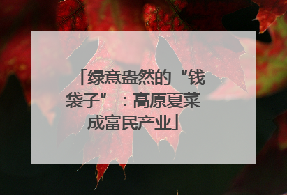 绿意盎然的“钱袋子”：高原夏菜成富民产业