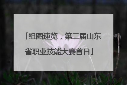 组图速览，第二届山东省职业技能大赛首日