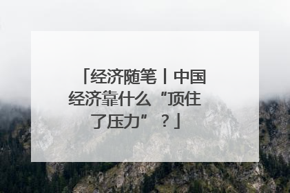 经济随笔丨中国经济靠什么“顶住了压力”？