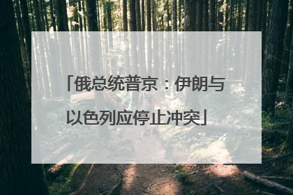 俄总统普京：伊朗与以色列应停止冲突