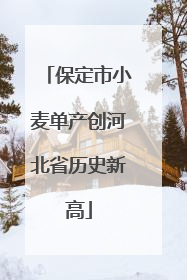 保定市小麦单产创河北省历史新高