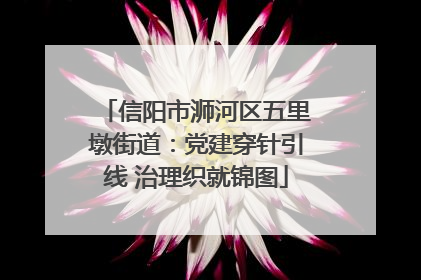 信阳市浉河区五里墩街道：党建穿针引线 治理织就锦图