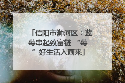 信阳市浉河区：蓝莓串起致富链 “莓”好生活入画来