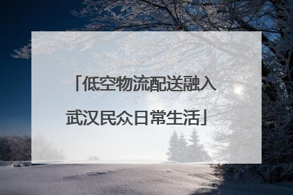 低空物流配送融入武汉民众日常生活
