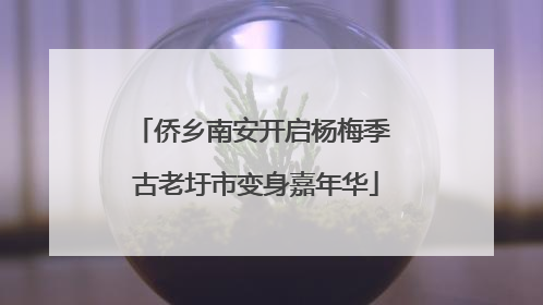侨乡南安开启杨梅季 古老圩市变身嘉年华