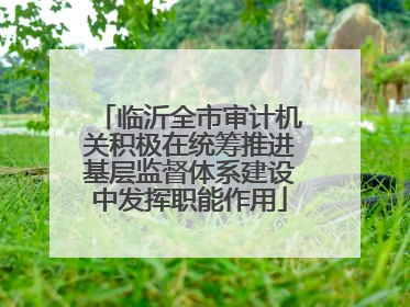 临沂全市审计机关积极在统筹推进基层监督体系建设中发挥职能作用