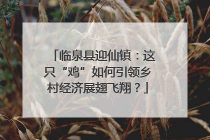 临泉县迎仙镇：这只“鸡”如何引领乡村经济展翅飞翔？