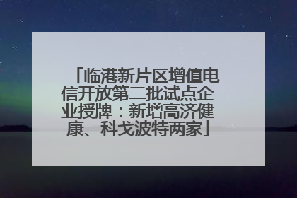 临港新片区增值电信开放第二批试点企业授牌：新增高济健康、科戈波特两家