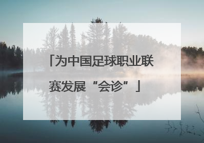 为中国足球职业联赛发展“会诊”