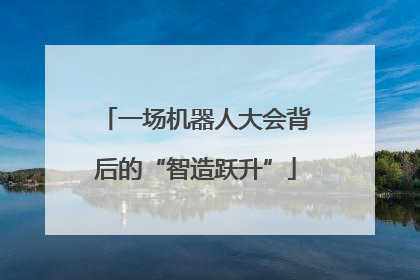 一场机器人大会背后的“智造跃升”