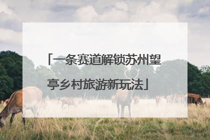 一条赛道解锁苏州望亭乡村旅游新玩法