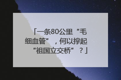 一条80公里“毛细血管”，何以撑起“祖国立交桥”？