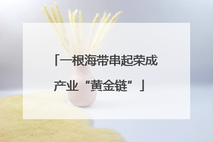 一根海带串起荣成产业“黄金链”