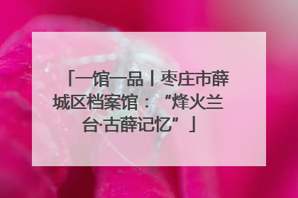 一馆一品丨枣庄市薛城区档案馆：“烽火兰台·古薛记忆”