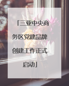 三亚中央商务区党建品牌创建工作正式启动