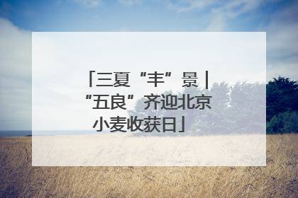 三夏“丰”景｜“五良”齐迎北京小麦收获日