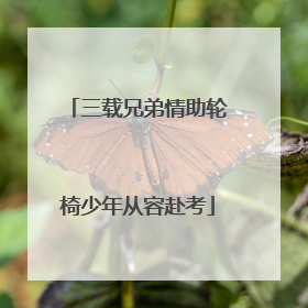三载兄弟情助轮椅少年从容赴考