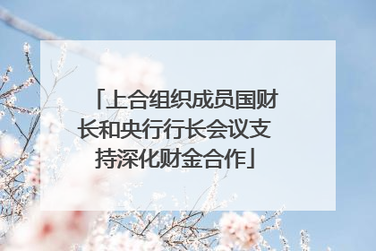 上合组织成员国财长和央行行长会议支持深化财金合作