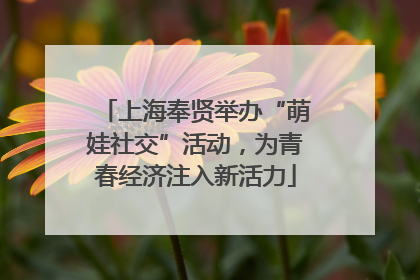 上海奉贤举办“萌娃社交”活动，为青春经济注入新活力