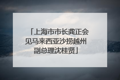 上海市市长龚正会见马来西亚沙捞越州副总理沈桂贤
