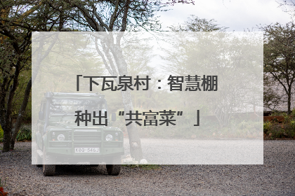 下瓦泉村：智慧棚种出“共富菜”