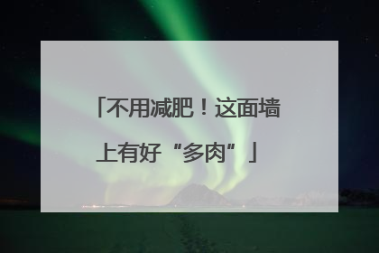不用减肥！这面墙上有好“多肉”