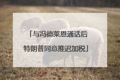 与冯德莱恩通话后 特朗普同意推迟加税