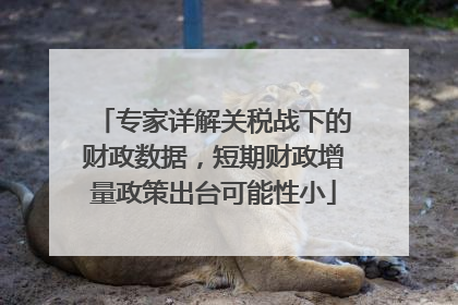 专家详解关税战下的财政数据，短期财政增量政策出台可能性小