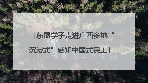 东盟学子走进广西多地“沉浸式”感知中国式民主