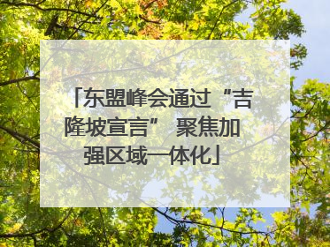 东盟峰会通过“吉隆坡宣言” 聚焦加强区域一体化