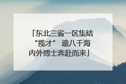 东北三省一区集结“揽才” 逾八千海内外博士奔赴而来