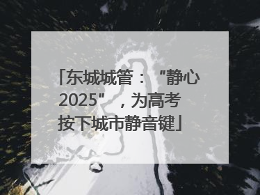 东城城管：“静心2025”，为高考按下城市静音键