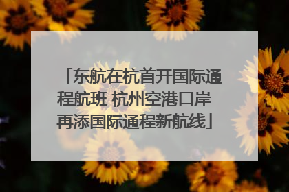 东航在杭首开国际通程航班 杭州空港口岸再添国际通程新航线