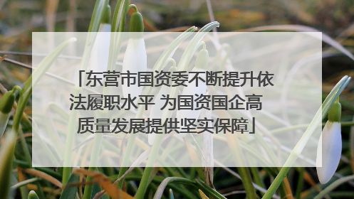 东营市国资委不断提升依法履职水平 为国资国企高质量发展提供坚实保障