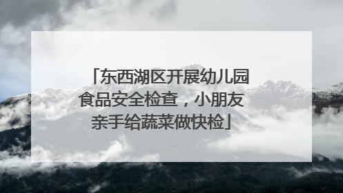 东西湖区开展幼儿园食品安全检查，小朋友亲手给蔬菜做快检