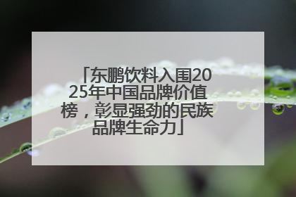 东鹏饮料入围2025年中国品牌价值榜，彰显强劲的民族品牌生命力