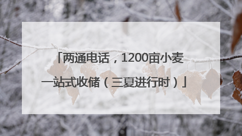 两通电话，1200亩小麦一站式收储（三夏进行时）