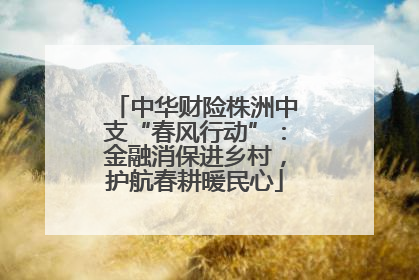 中华财险株洲中支“春风行动”：金融消保进乡村，护航春耕暖民心
