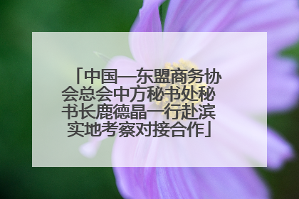 中国—东盟商务协会总会中方秘书处秘书长鹿德晶一行赴滨实地考察对接合作