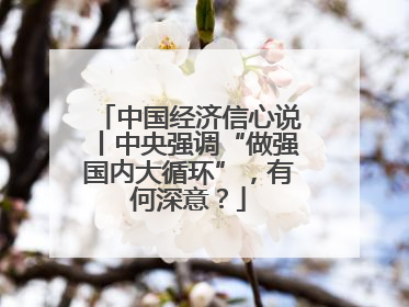 中国经济信心说丨中央强调“做强国内大循环”，有何深意？
