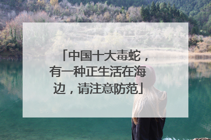 中国十大毒蛇，有一种正生活在海边，请注意防范