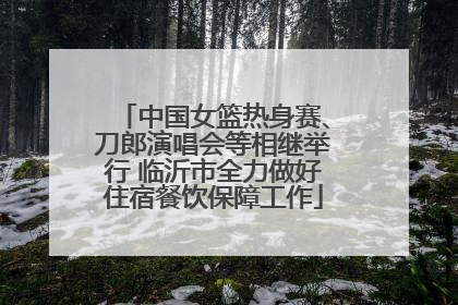 中国女篮热身赛、刀郎演唱会等相继举行 临沂市全力做好住宿餐饮保障工作