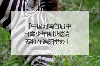 中国河南首届中日青少年围棋邀请赛将在洛阳举办